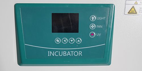 uv lamps