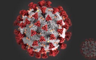 Recent Developments in COVID-19 Research