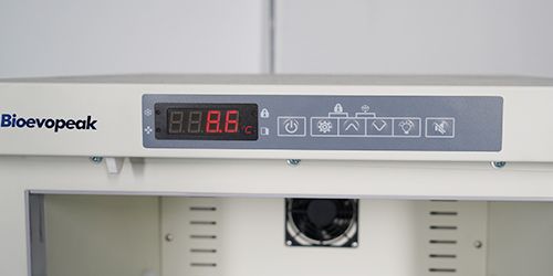 Large digital display screen