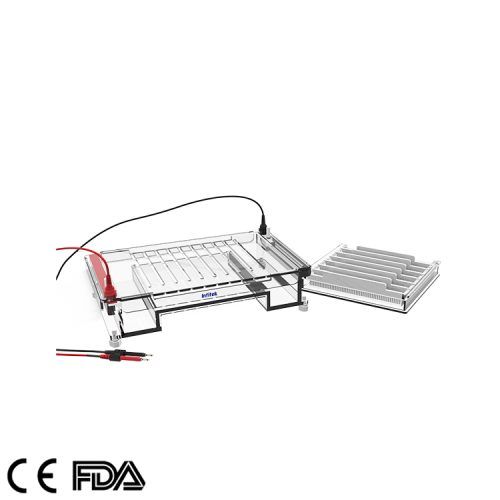 Horizontal Electrophoresis Cell, GEP-HH-SUB04