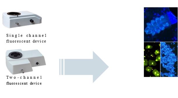 Fluorescence-Microscope