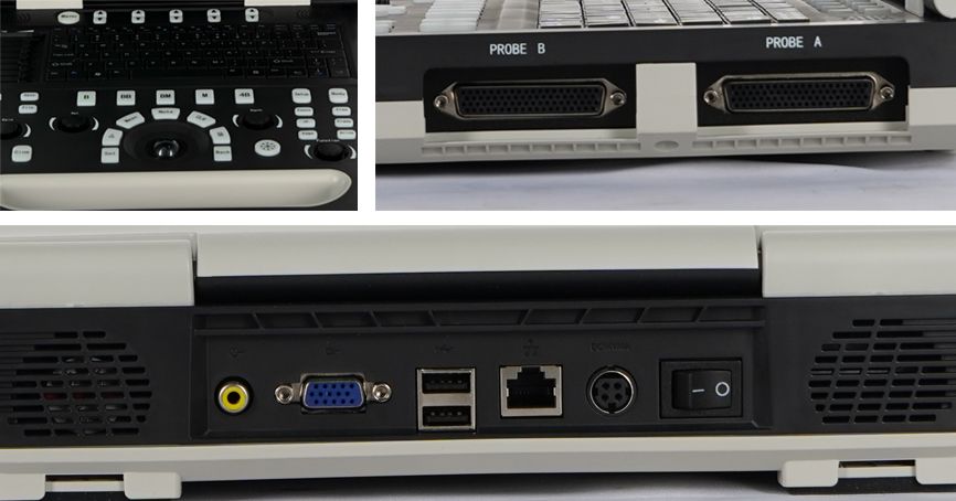 Veterinary-Ultrasound-details