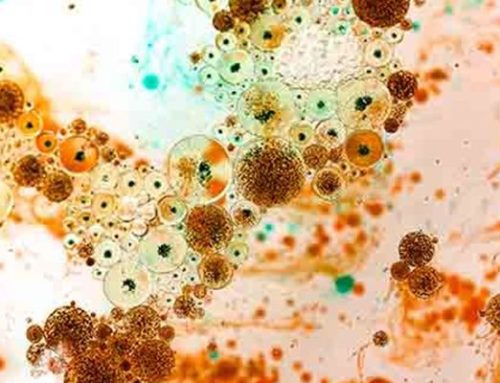 注重健康和卫生的实验室家具设计