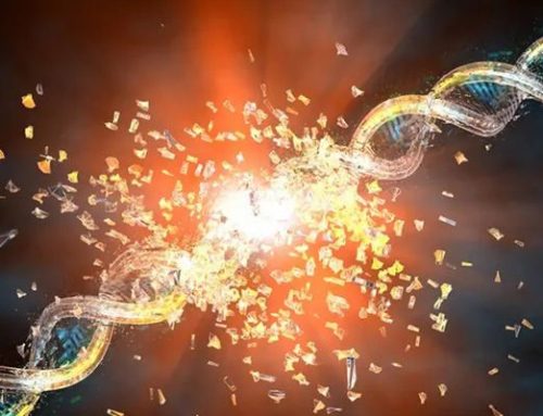 Epstein-Barr病毒如何导致 DNA 损伤致癌