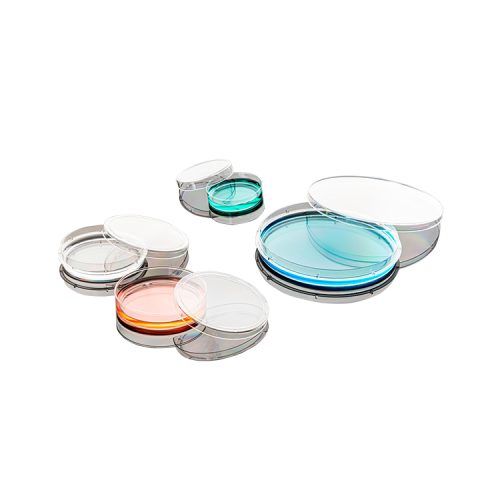 Cell-Culture-Dish